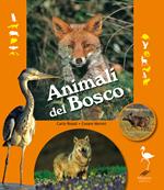 Animali del bosco