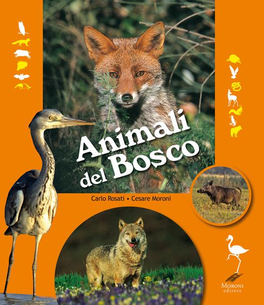 Animali del bosco - Carlo Rosati,Cesare Moroni - copertina