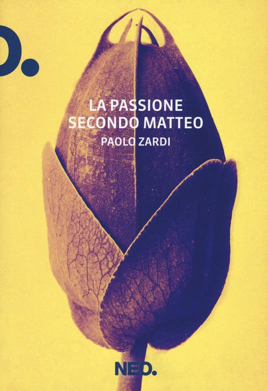La passione secondo Matteo - Paolo Zardi - copertina
