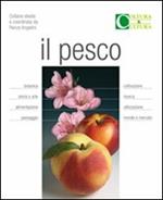 Il pesco