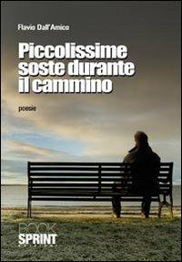 Piccolissime soste durante il cammino - Flavio Dall'Amico - copertina