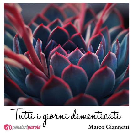 Tutti i giorni dimenticati - Marco Giannetti - copertina