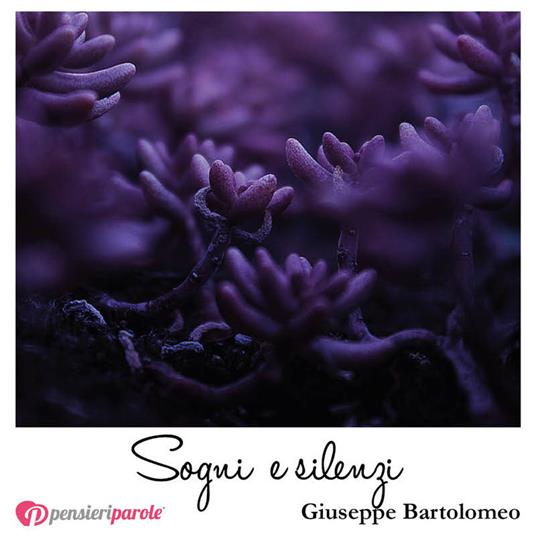 Sogni e silenzi - G. Bartolomeo - copertina