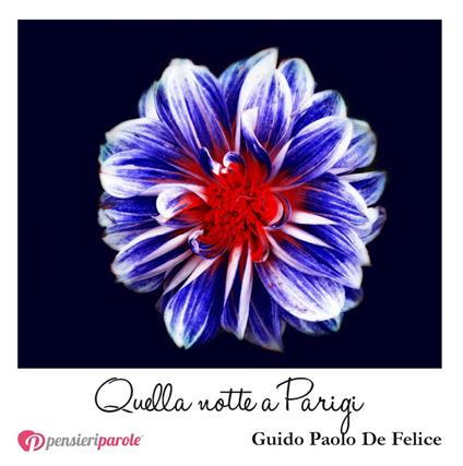 Quella notte a Parigi. Frammenti da un amore che non ce l'ha fatta - Guido Paolo De Felice - copertina