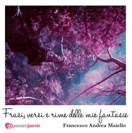 Frasi, versi e rime delle mie fantasie - Francesco Andrea Maiello - copertina