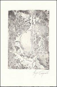 Poesie - Knute Skinner - copertina