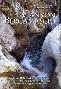 Alla scoperta dei canyon bergamaschi. Dalla Via Mala alla Forra Leonardesca, un viaggio tra le più belle gole, gli orridi e le marmitte dei giganti delle Orobie - Anna Fusco,Denis Pianetti - copertina