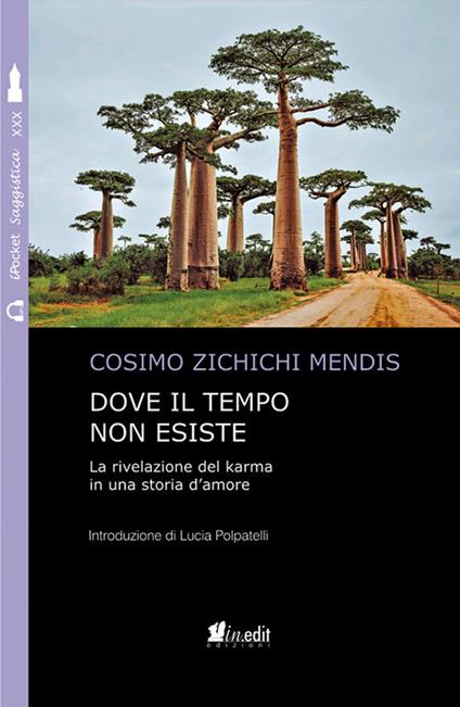 Dove il tempo non esiste. La rivelazione del karma in una storia d'amore. Nuova ediz. - Cosimo Zichichi Mendis - copertina