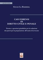 Casi forensi di diritto civile e penale. Norme e questioni giuridiche per la redazione dei pareri per la preparazione all'esame di avvocato