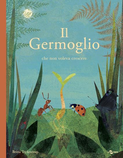 Il germoglio che non voleva crescere - Britta Teckentrup - copertina