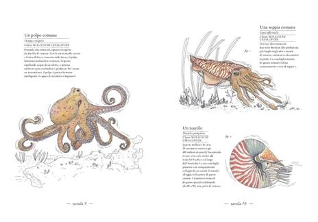 Inventario illustrato del mare - Emmanuelle Tchoukriel,Virginie Aladjidi - 2