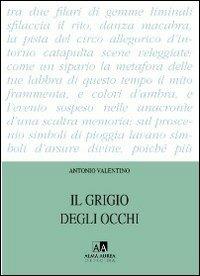 Il grigio degli occhi - Antonio Valentino - copertina