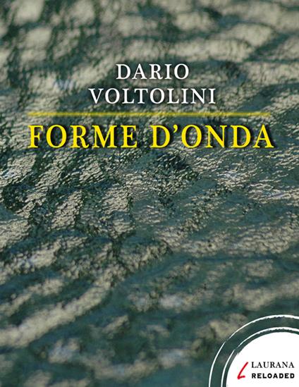 Forme d'onda - Dario Voltolini - ebook