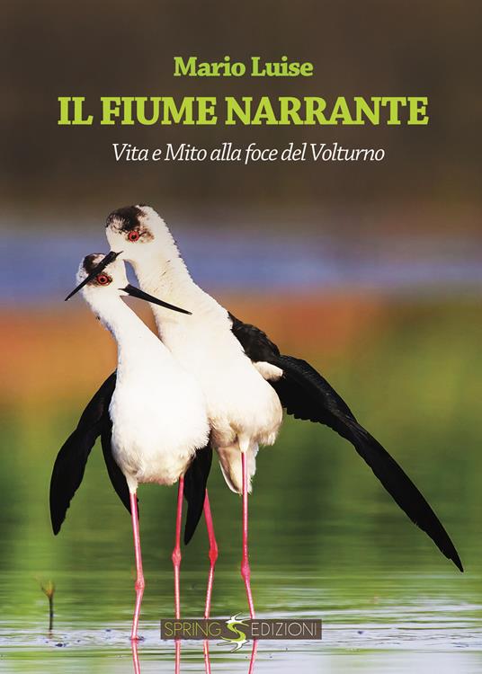 Il fiume narrante - Mario Luise - copertina