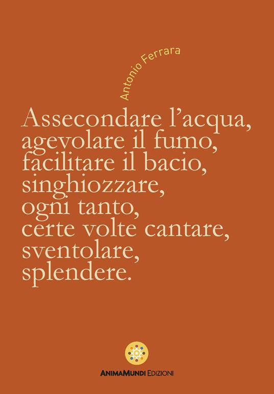 Assecondare l'acqua, agevolare il fumo, facilitare il bacio... - Antonio Ferrara - copertina