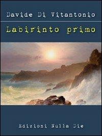 Labirinto primo - Davide Di Vitantonio - copertina