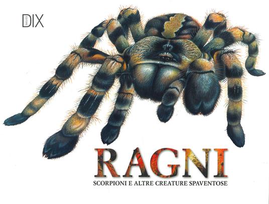 Ragni, scorpioni e altre creature spaventose. Ediz. illustrata - Claudia Martin - copertina