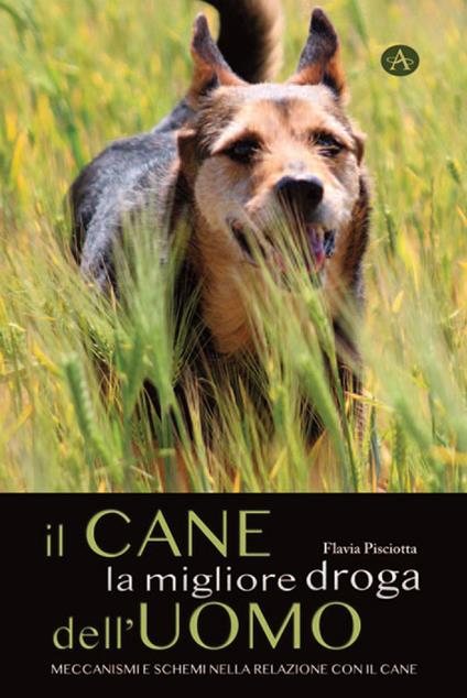 Il cane la migliore droga dell'uomo. Meccanismi e schemi nella relazione con il cane - Flavia Pisciotta - copertina