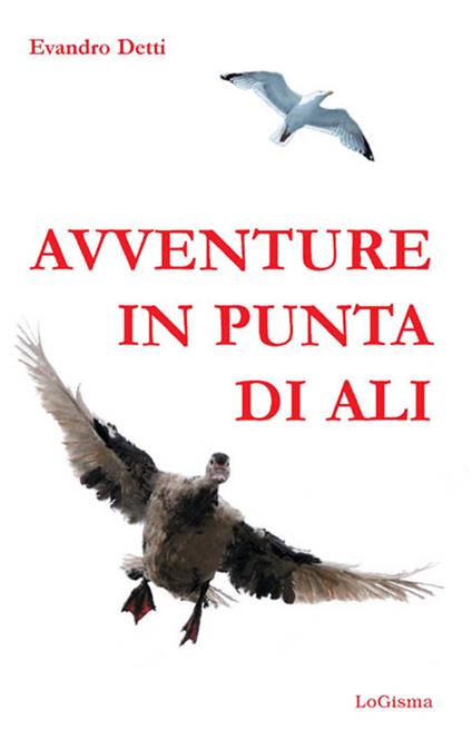 Avventure in punta di ali - Evandro Detti - copertina