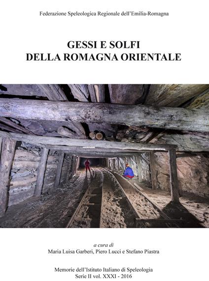 Gessi e solfi della Romagna orientale - copertina