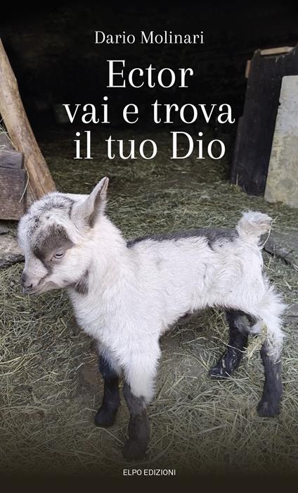 Ector vai e trova il tuo Dio - Dario Molinari - copertina