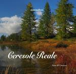 Ceresole Reale