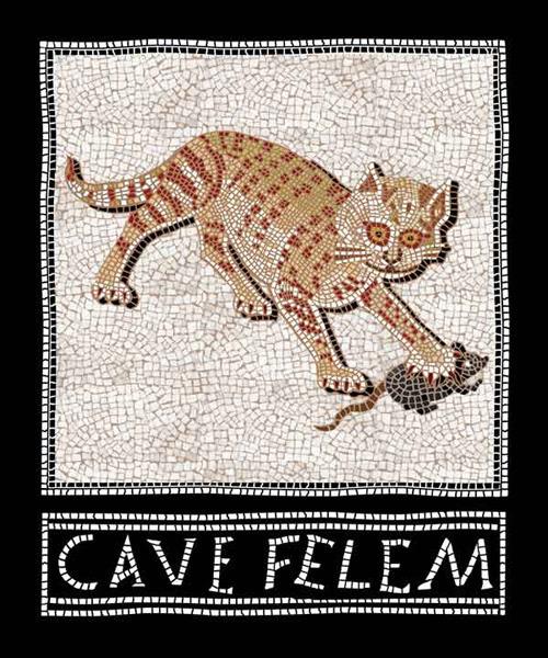 Cave felem. Polaroid lenticolare magnetica. Ediz. italiana e inglese - copertina