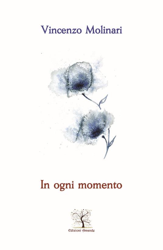 In ogni momento - Vincenzo Molinari - copertina