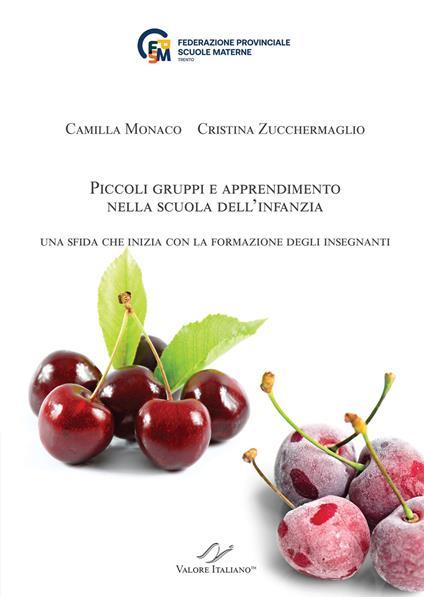 Piccoli gruppi e apprendimento nella scuola dell'infanzia. Una sfida che inizia con la formazione degli insegnanti - Camilla Monaco,Cristina Zucchermaglio - copertina