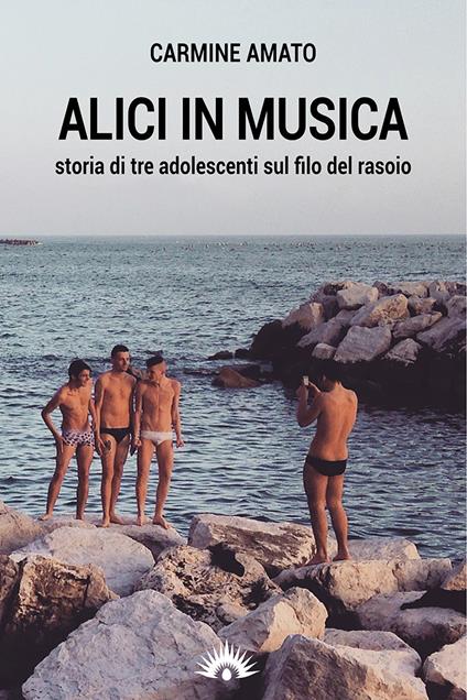 Alici in musica. Storia di tre adolescenti sul filo del rasoio - Carmine Amato - copertina