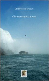 Che meraviglia, la vita - Christian Ferdigg - copertina