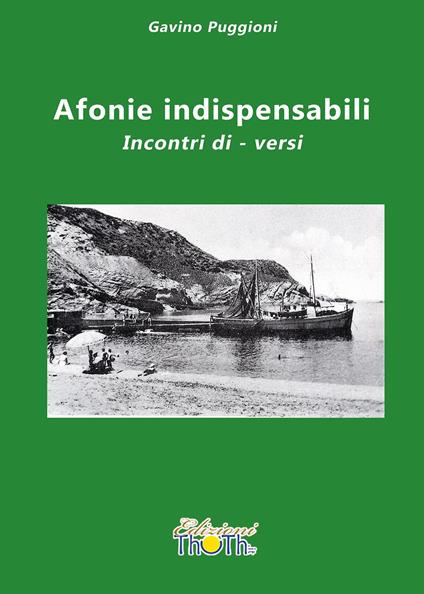 Afonie indispensabili. Incontri di-versi - Gavino Puggioni - copertina