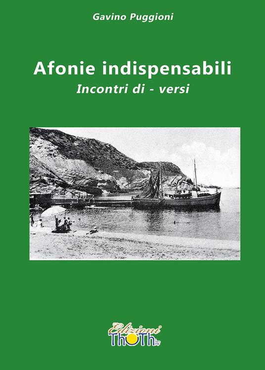 Afonie indispensabili. Incontri di-versi - Gavino Puggioni - copertina