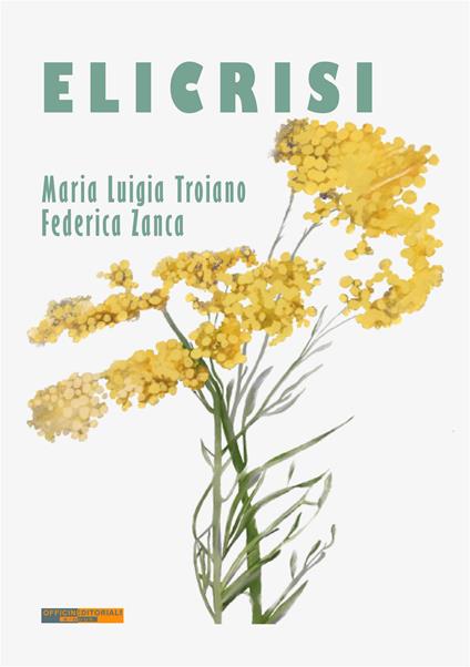 Elicrisi - Maria Luigia Troiano,Federica Zanca - ebook