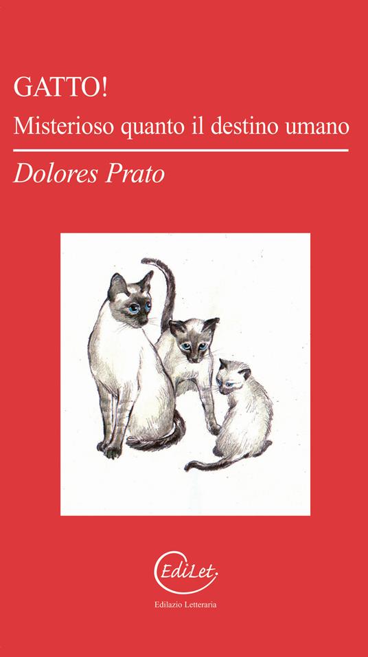 Gatto! Misterioso quanto il destino umano - Dolores Prato - copertina