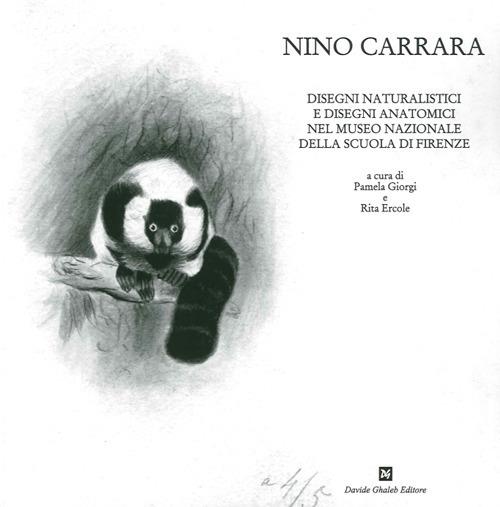 Nino Carrara. Disegni naturalistici e disegni anatomici nel Museo nazionale della scuola di Firenze. Ediz. illustrata - Pamela Giorgi,Rita Ercole - copertina