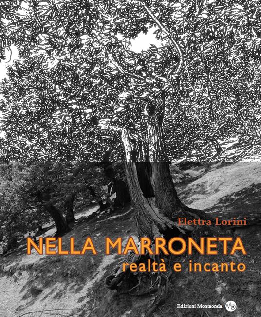 Nella marroneta. Realtà e incanto - Elettra Lorini - copertina