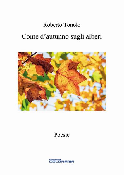 Come d'autunno sugli alberi - Roberto Tonolo - copertina