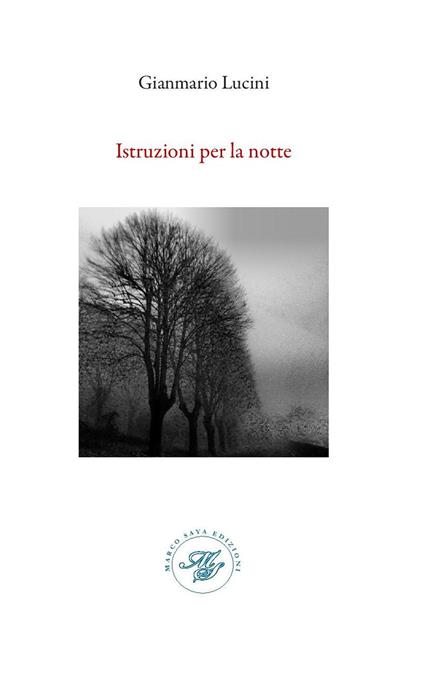 Istruzione per la notte. Raccolta poetica - Gianmario Lucini - copertina