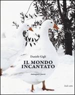 Il mondo incantato. Immagini e poesie