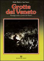 Grotte del veneto. Paesaggi carsici e grotte del Veneto