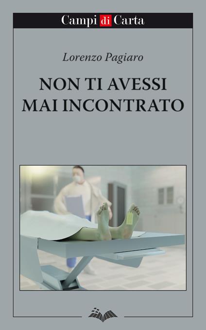 Non ti avessi mai incontrato - Lorenzo Pagiaro - copertina