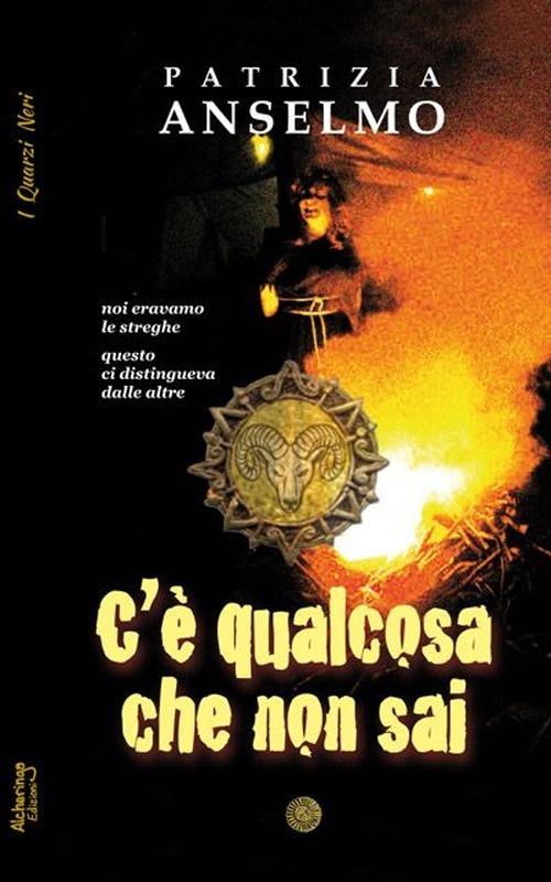 C'è qualcosa che non sai - Patrizia Anselmo - copertina