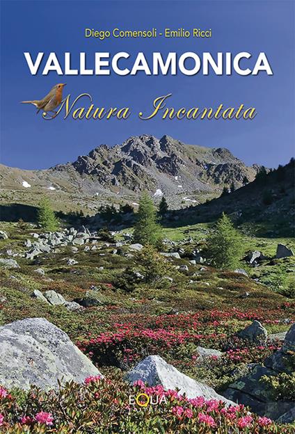 Vallecamonica natura incantata - Diego Commensali,Emilio Ricci - copertina