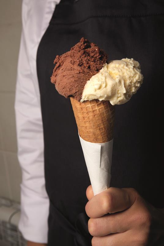 Progetto gelato. Ediz. italiana e inglese - Andrea Soban - 8