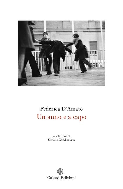 Un anno e a capo - Federica D'Amato - copertina