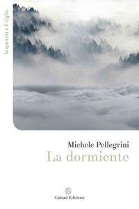 La dormiente - Michele Pellegrini - copertina