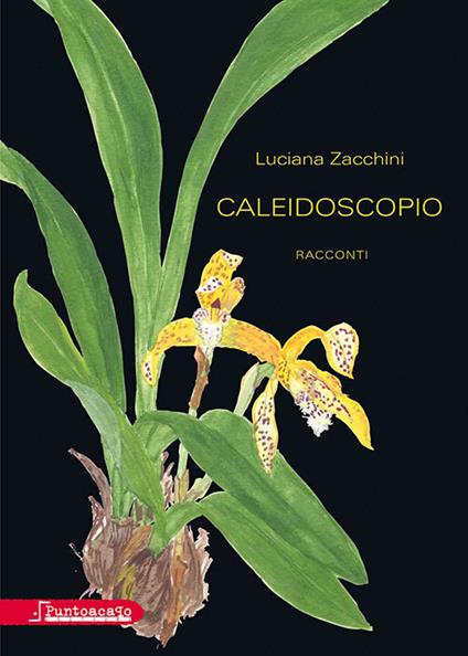 Caleidoscopio - Luciana Zacchini - copertina