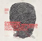 Cameroon: elephants with wings. Ediz. illustrata