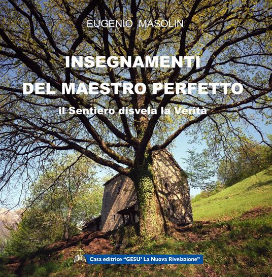 Insegnamenti del Maestro perfetto. Il sentiero disvela la verità - Eugenio Masolin - copertina